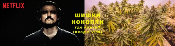 сатива Магадан