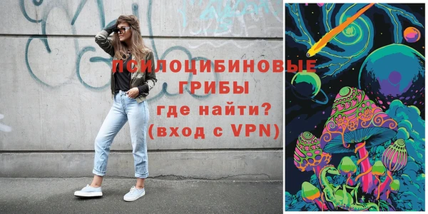 сатива Магадан