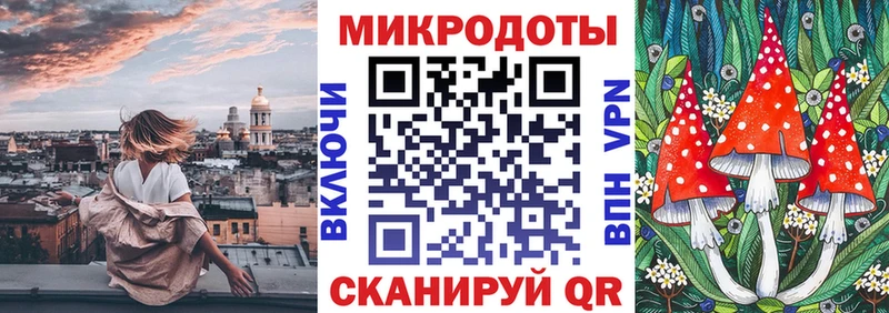 Псилоцибиновые грибы Psilocybe  купить закладку  Любань 